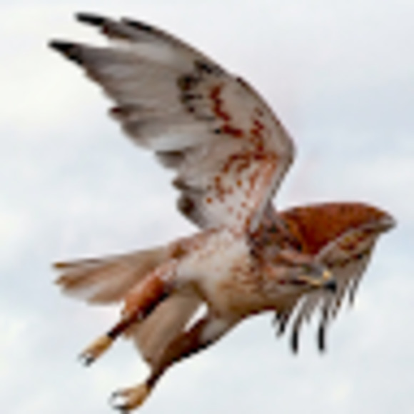 Meet your Posher, Mariko - Picture 1 of 1